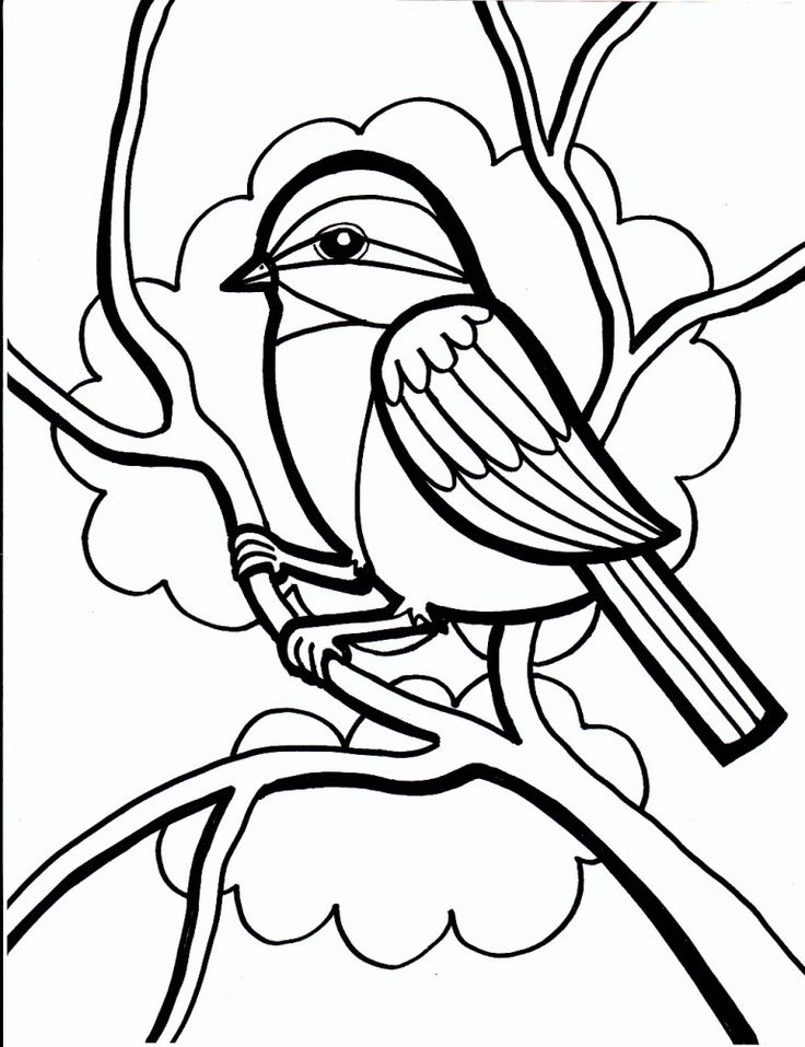 Dibujos de pãjaros para colorear y pintar bird coloring pages coloring pages free coloring pages