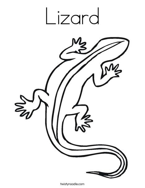 Lizard coloring page coloring pag lizard dragon coloring page