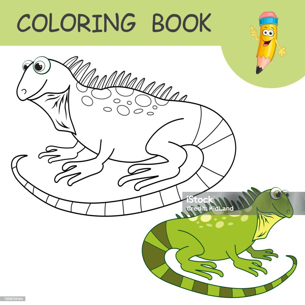 Ilustraciãn de libro para colorear con divertido personaje salamandra muestras incoloras y de color dragon en la pãgina para colorear para niãos diseão para colorear en lindo estilo de dibujos animados silueta