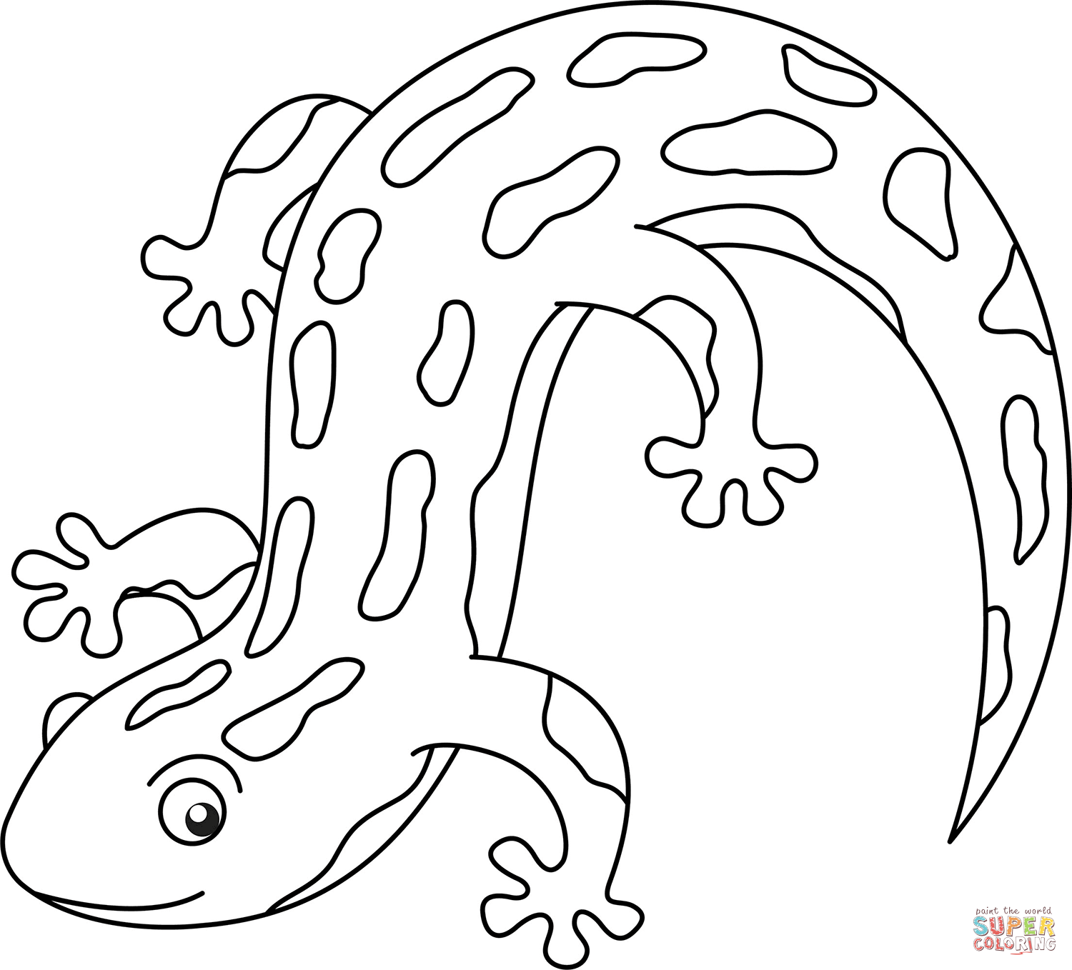 Cute salamander coloring page free printable coloring pages