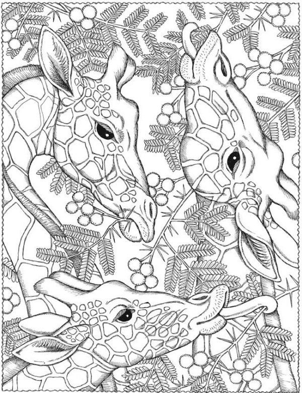 Dibujos de mandalas para colorear fãciles y difãciles mandalas giraffe coloring pages printable adult coloring pages free adult coloring pages