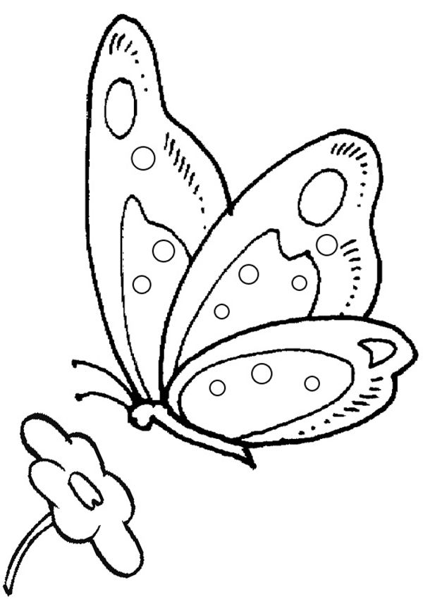 Free online butterfly colouring pages o dibujar mariposas mariposas para colorear pãginas para colorear