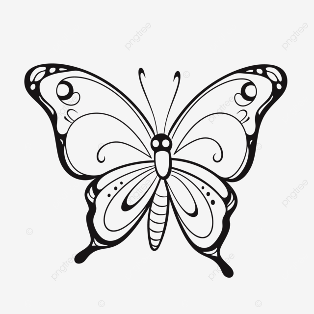 Dibujo de dibujos mariposas para colorear gratis vector png dibujos dibujo de mariposa dibujo de ala dibujo de anillo png y vector para dcargar gratis