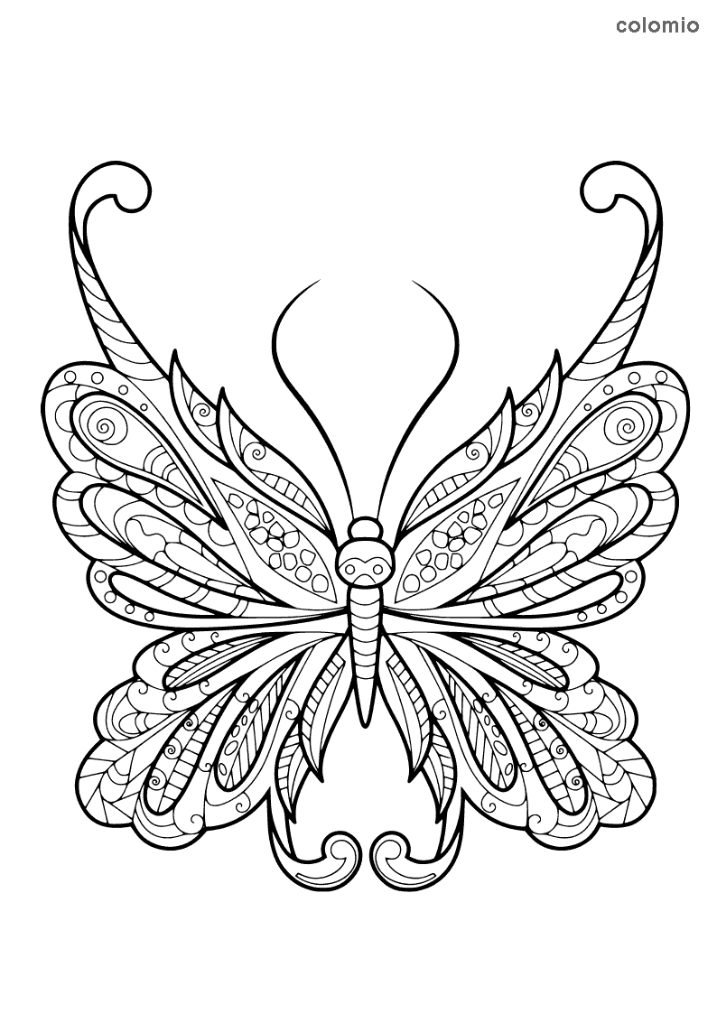 Dibujos de mariposas para colorear imãgen de mariposa para colorear