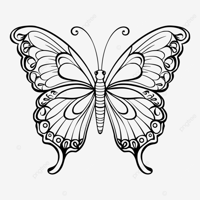 Vuelo de fantasãa infantil para colorear con mariposas vector png dibujos pãginas para colorear de mariposas