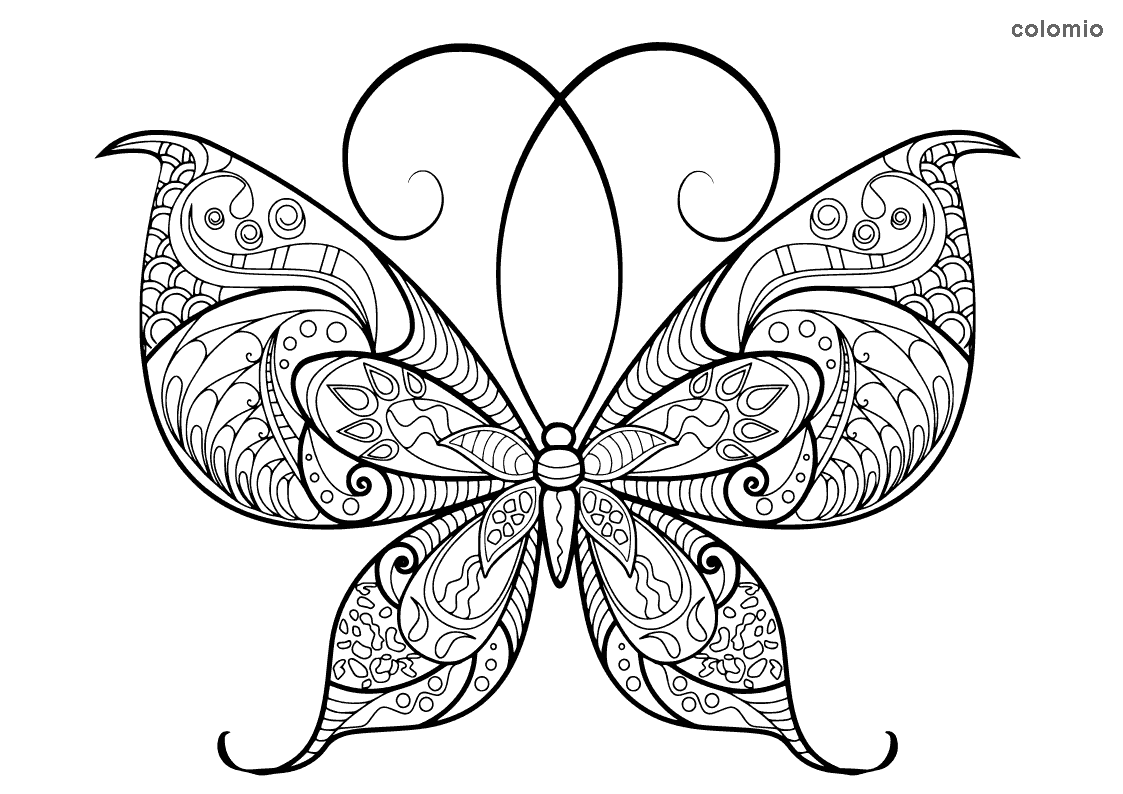 Dibujos de mariposas para colorear imãgen de mariposa para colorear