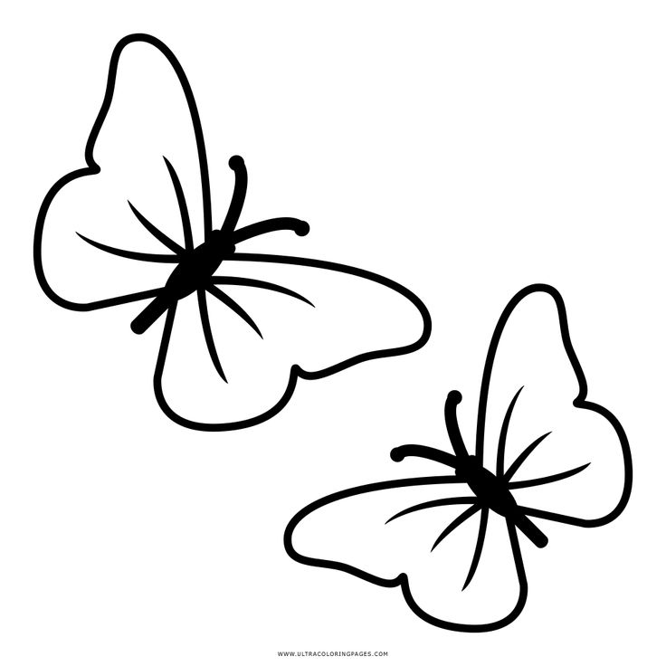 Dibujo de mariposas para colorear