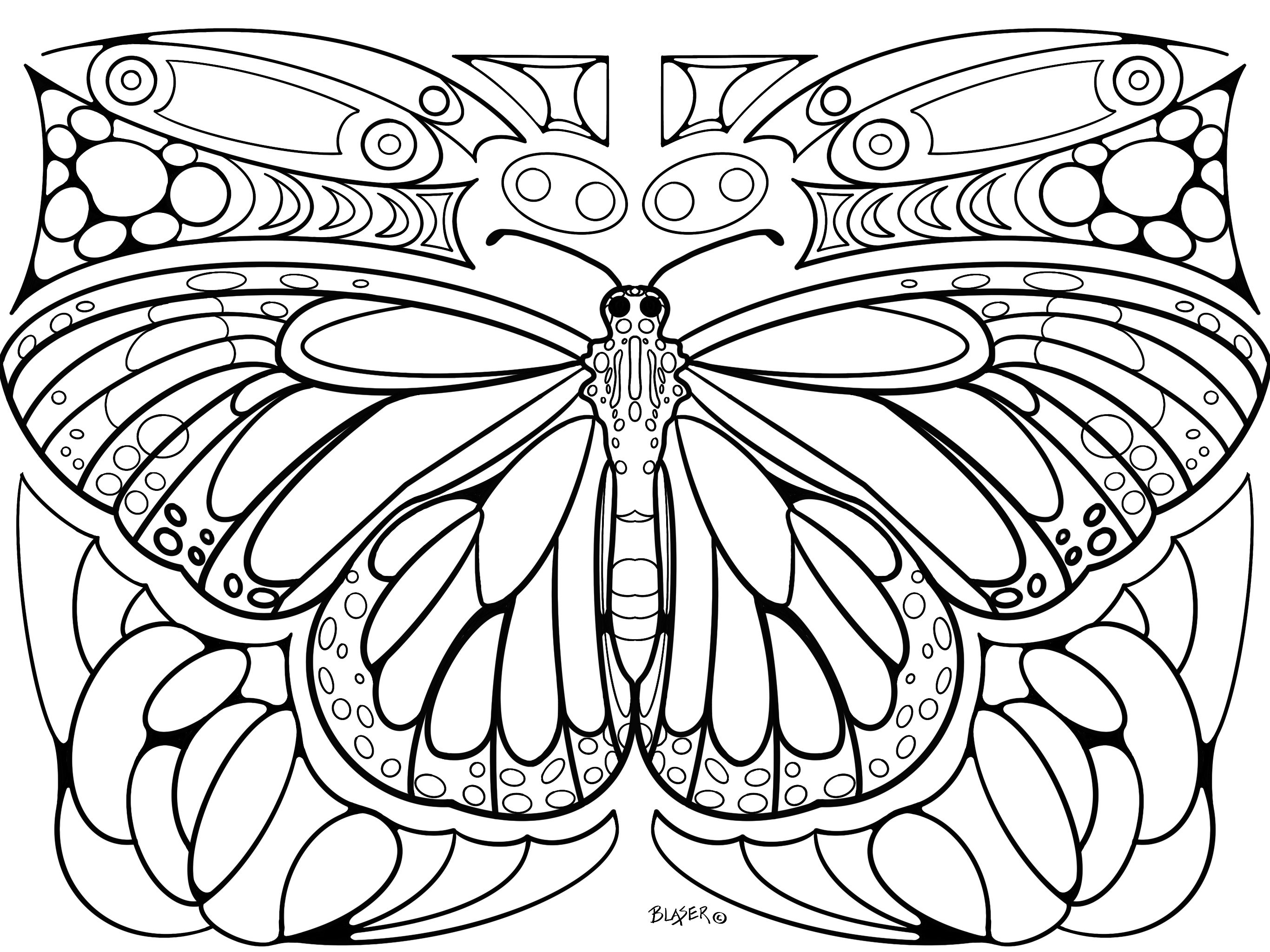 Dibujos para colorear mariposas imprimibles simãtricos para colorear digitales descargar adultos niãos insectos