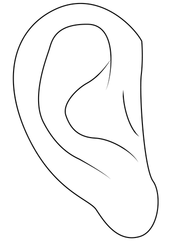 Ear coloring page free printable coloring pages