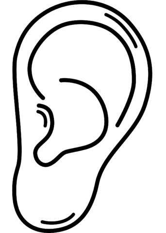 Ear coloring page free printable coloring pages