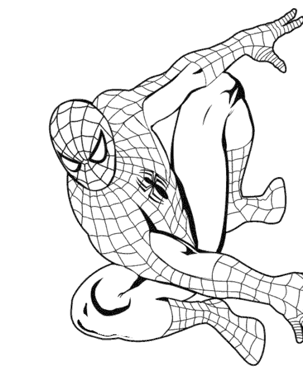 Gig picture of spiderman for coloring