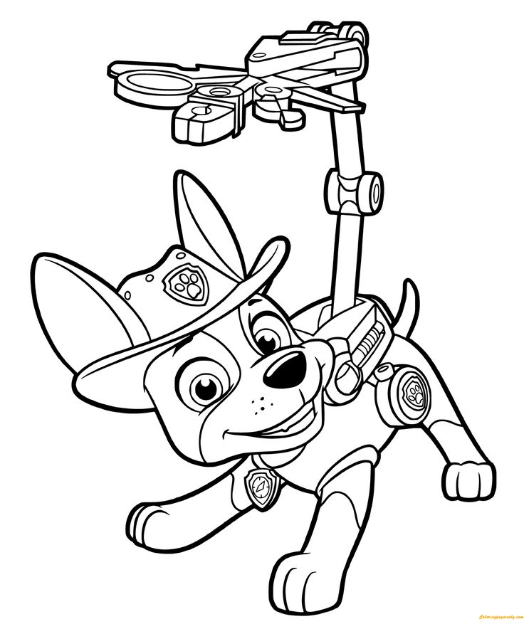 Explore the exciting world of paw patrol with tracker coloring pages