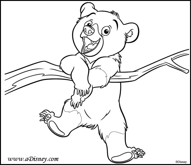 Hermanoosoparadibujarpintarcolorearimprimirrecortarypegargif ã bear coloring pages brother bear brother bear tattoo