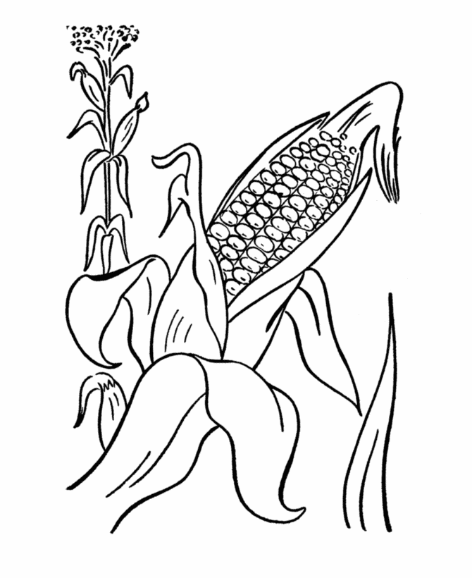 Coloring pages free printable corn coloring pages