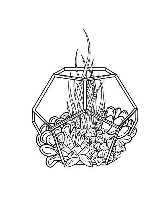 Succulent terrarium rpg dice colouring page