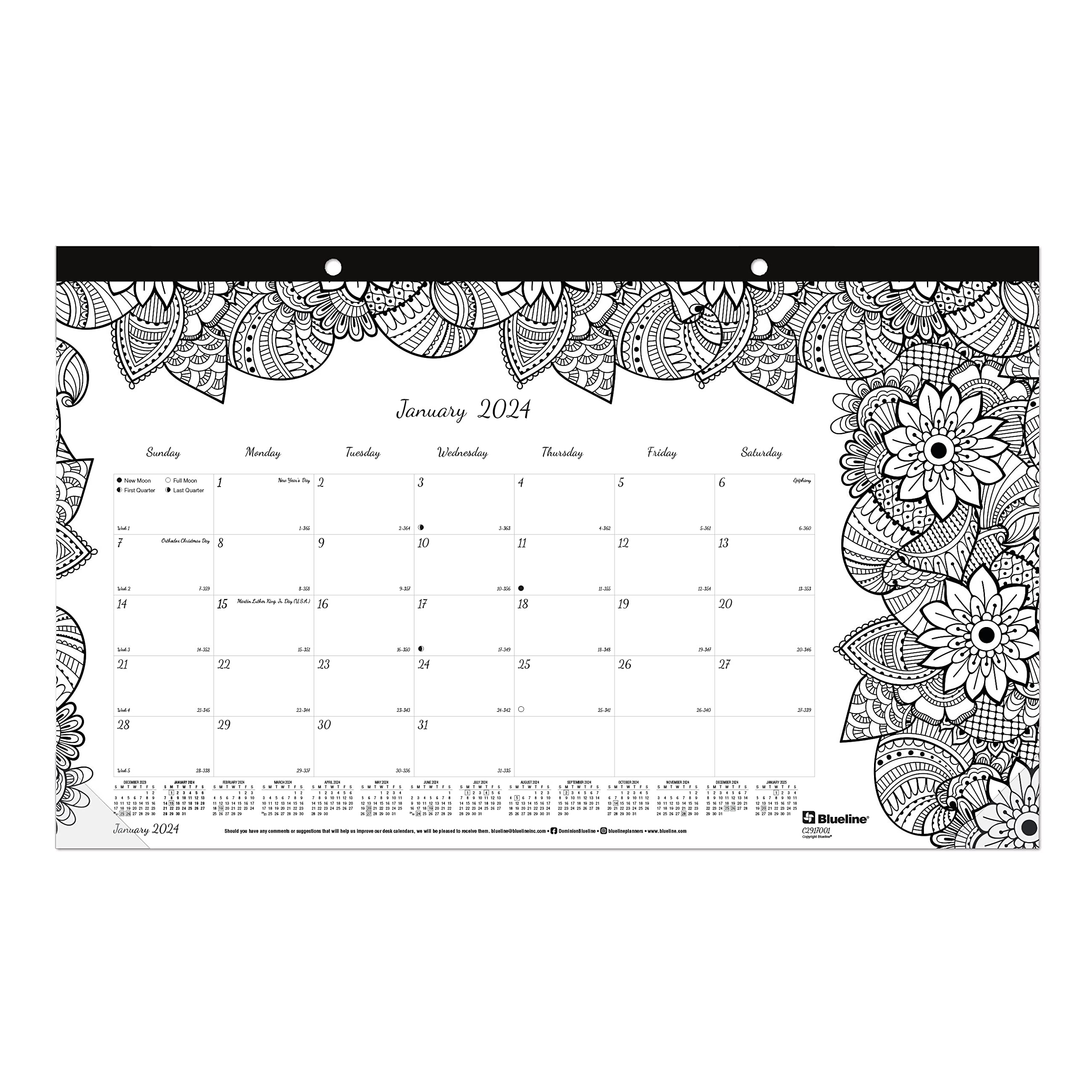 Blueline doodleplan calendario mensual para colorear de meses enero a diciembre x pulgadas botanica designs c