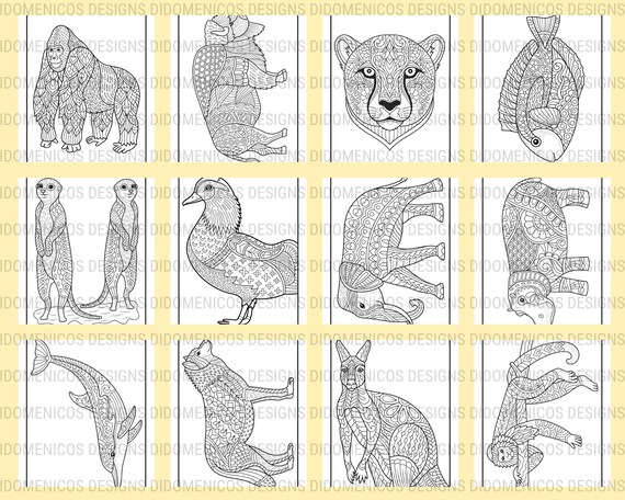 Animal coloring book pages animal patterns coloring book digital download instant download relax color coloring procreate