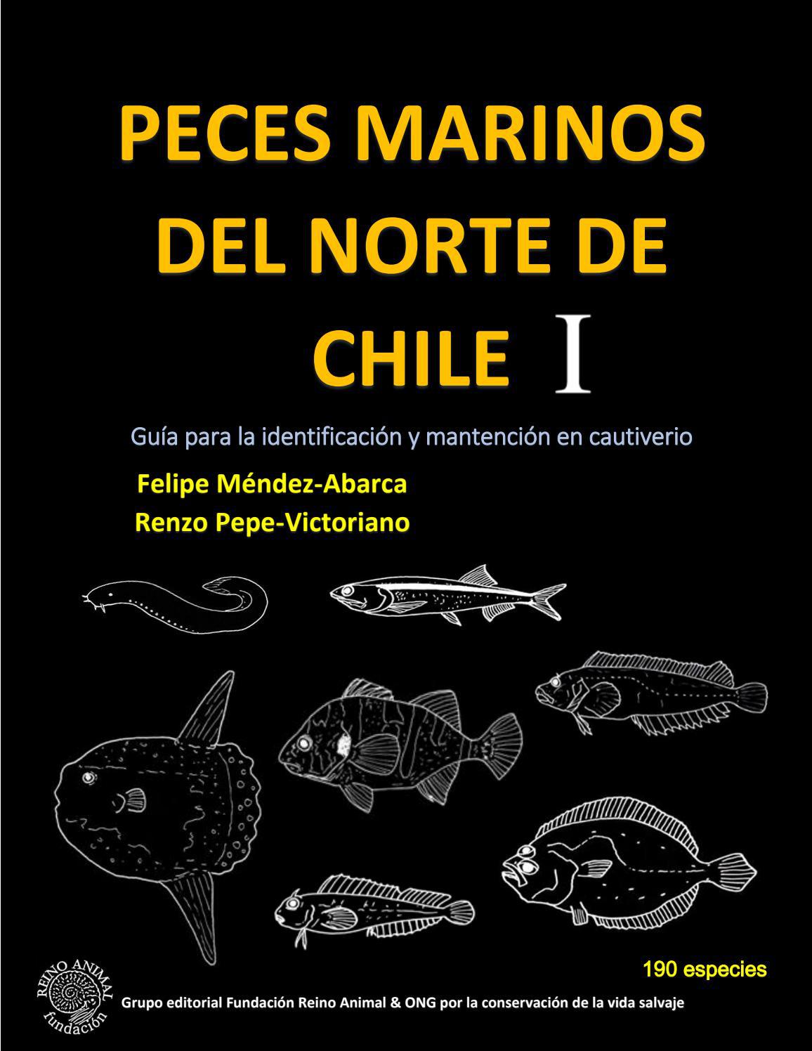 Peces marinos del norte de chile l guãa para la identificaciãn y mantenciãn en cautiverio by fmendezabarca