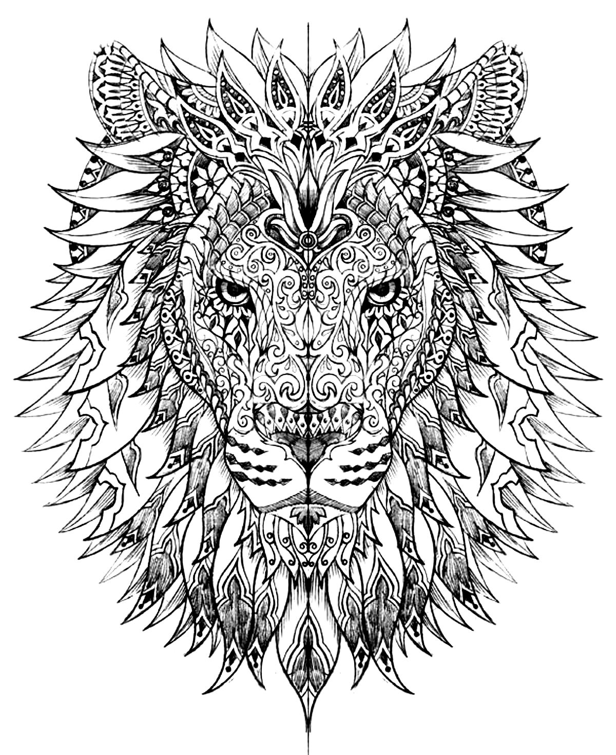 Lion head