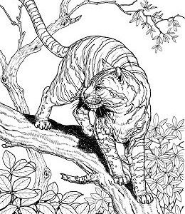 Hard coloring pages printable for free download