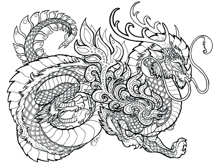 Dragon coloring pages for adults