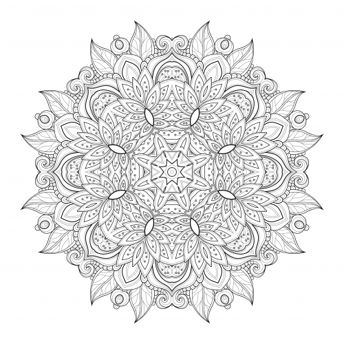 Flowers advanced coloring pages