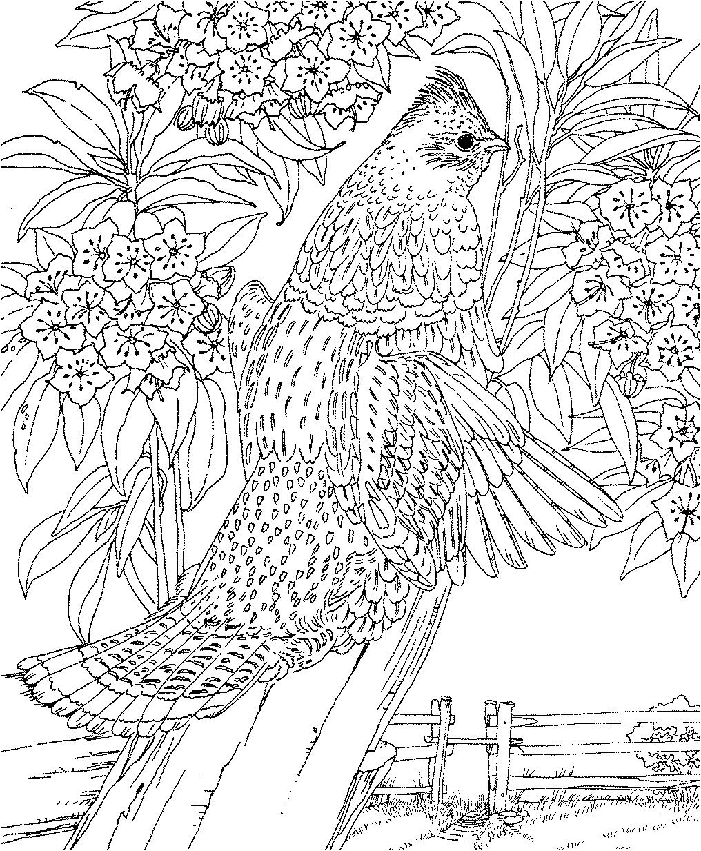 Difficult animals coloring pages for adults abstract coloring pages detailed coloring pages animal coloring pages