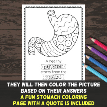 Digestive system color by number