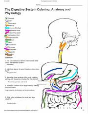 Digestive system coloring sheetdocx