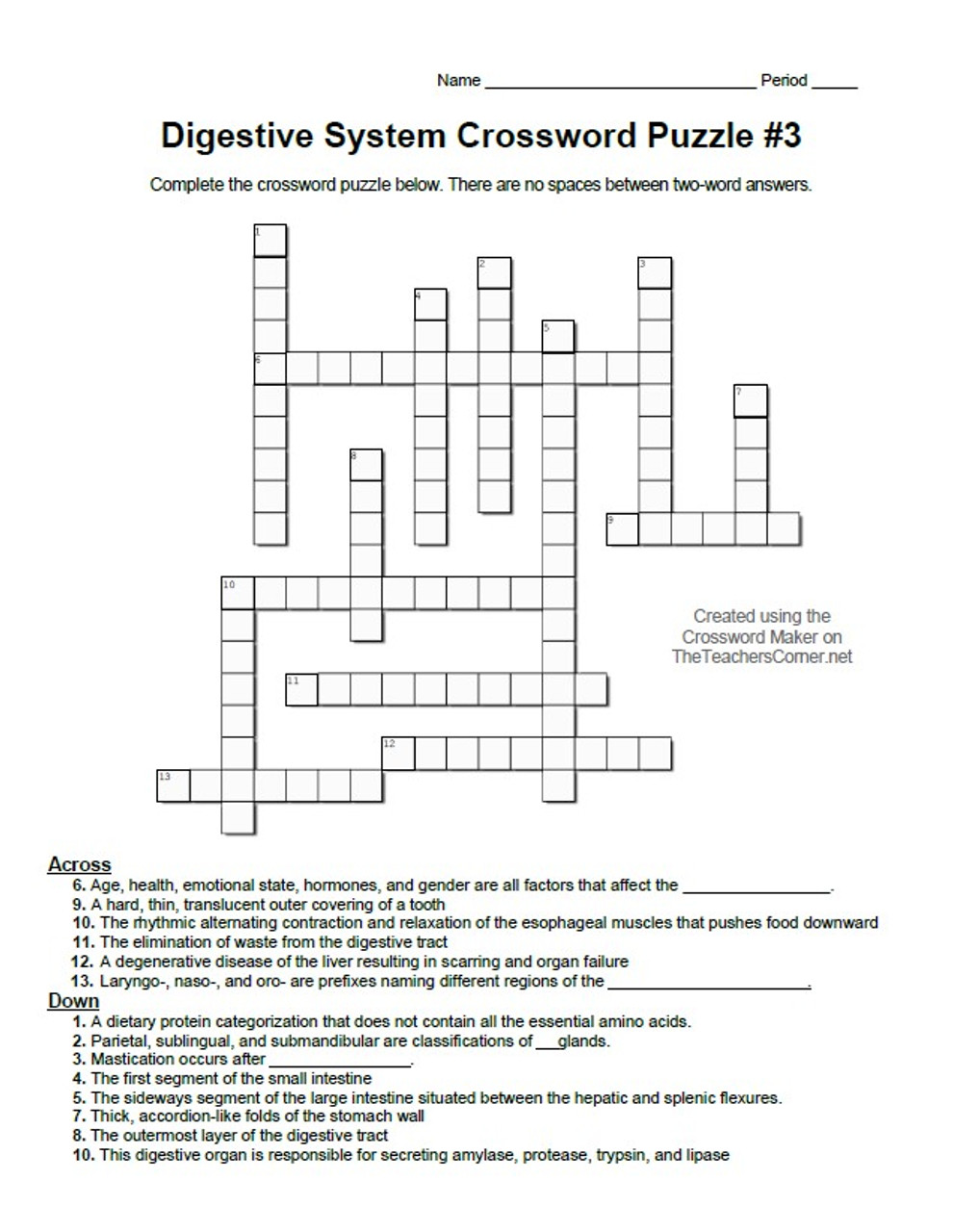 Digestive system crossword puzzle set of four