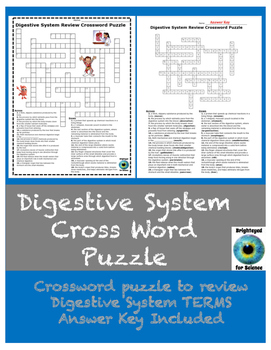 Digestive system review crossword puzzle by brighteyed for science