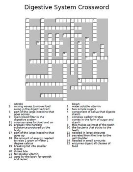 Digestive system crossword puzzle by the teacher team tpt