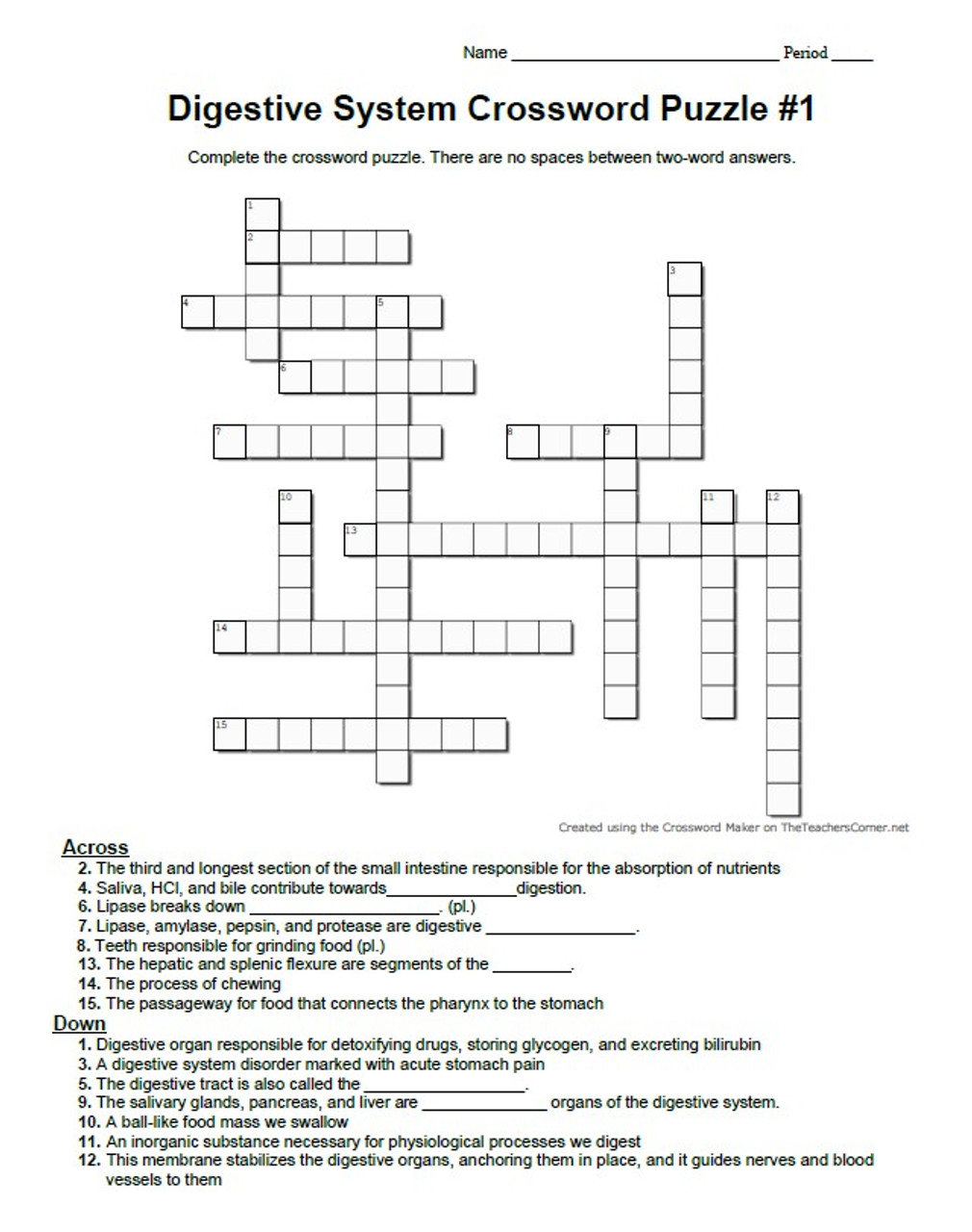 Digestive system crossword puzzle set of four