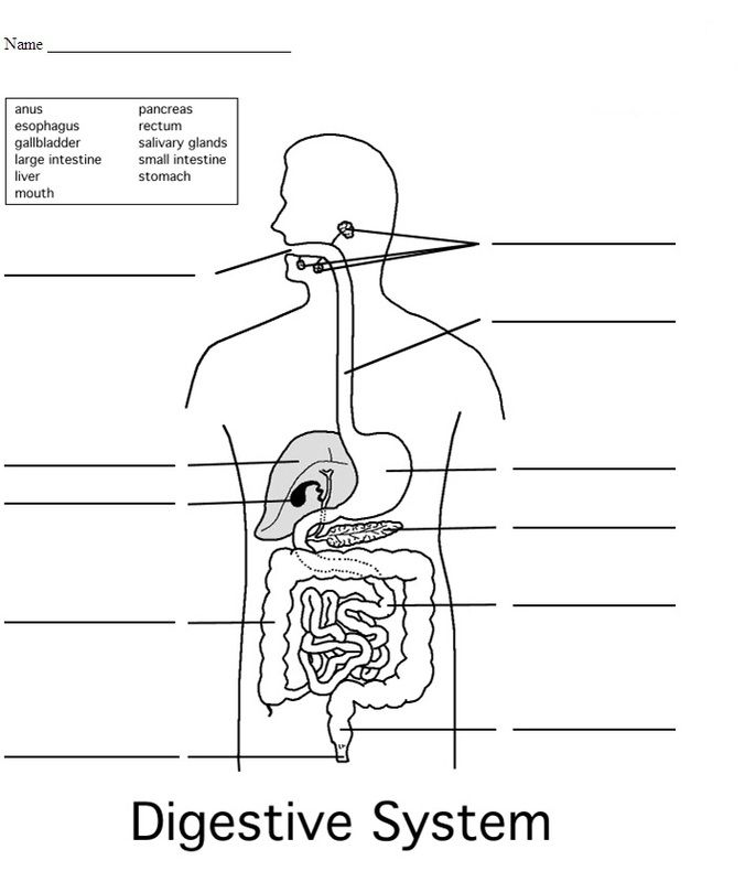 Th grade science worksheets