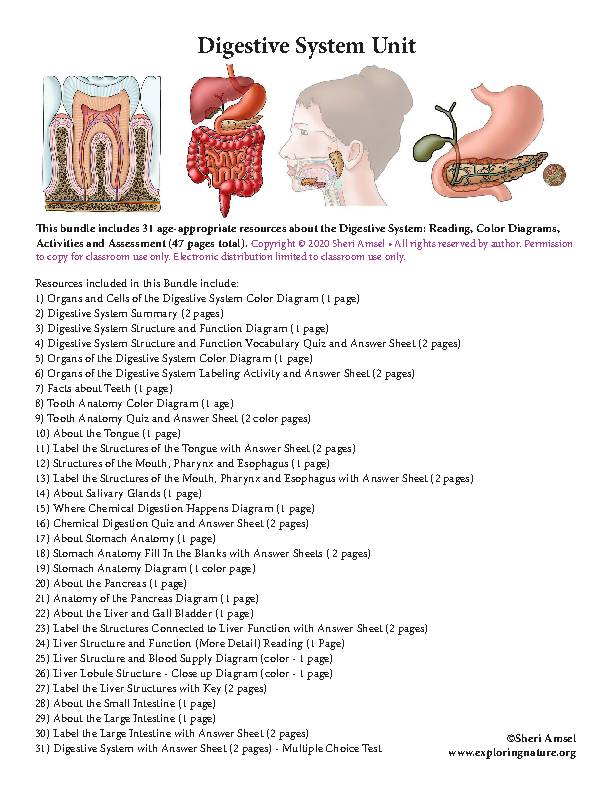 Digestive system unit