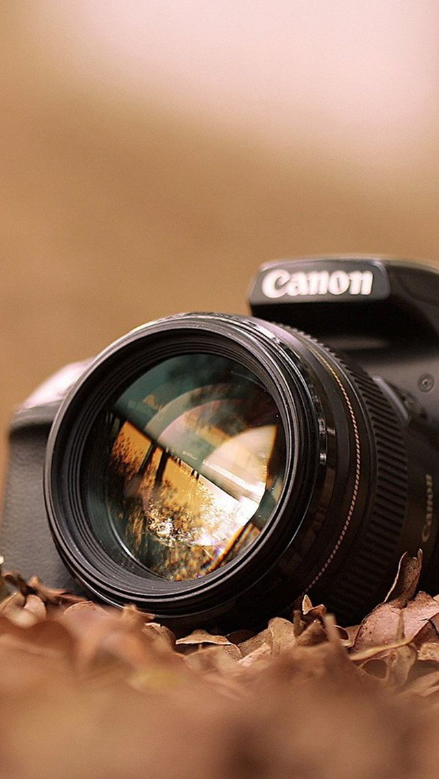 Canon camera macro fall leaves iphone s wallpaper download iphone wallpapers ipad wallpapers one