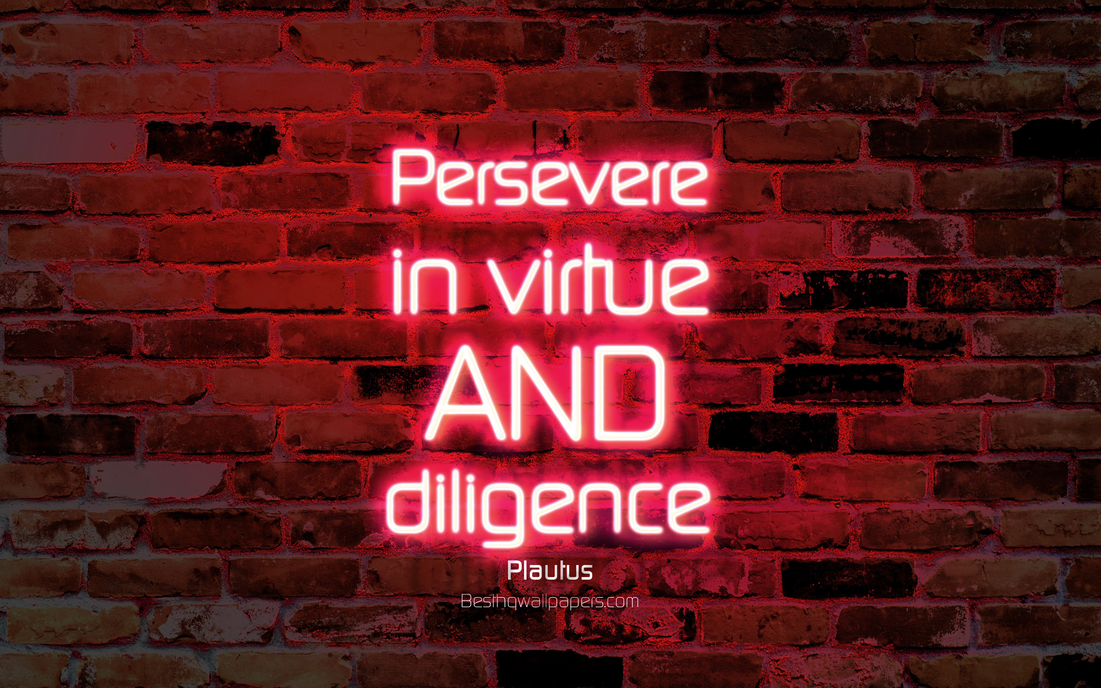 Download wallpapers persevere in virtue and diligence k purple brick wall plautus quotes neon text inspiration plautus quotes about persevere for desktop with resolution x high quality hd pictures wallpapers