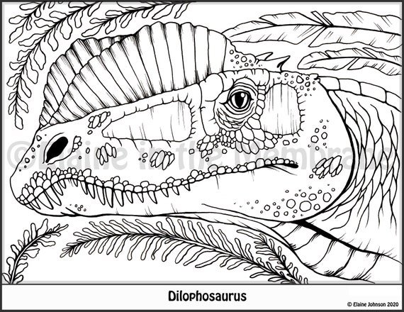 Dinosaur coloring pages printable coloring pages kids coloring pages dinosaur coloring dilophosaurus coloring pages dinosaur printable