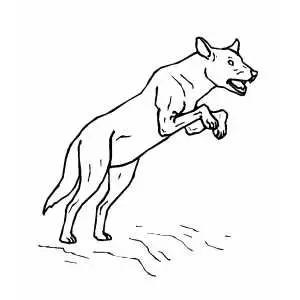 Dingo jumping coloring page