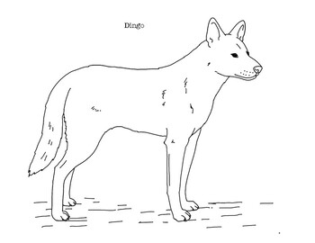 Dingo coloring page by mama draw it tpt