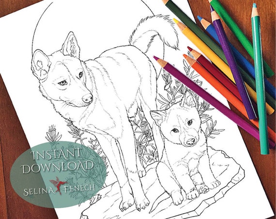 Dingo australian animals and wildflowers coloring pagedigi stamp fantasy printable download by selina fenech