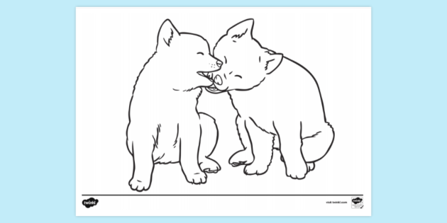 Dingo pupps colouring sheet colouring sheets