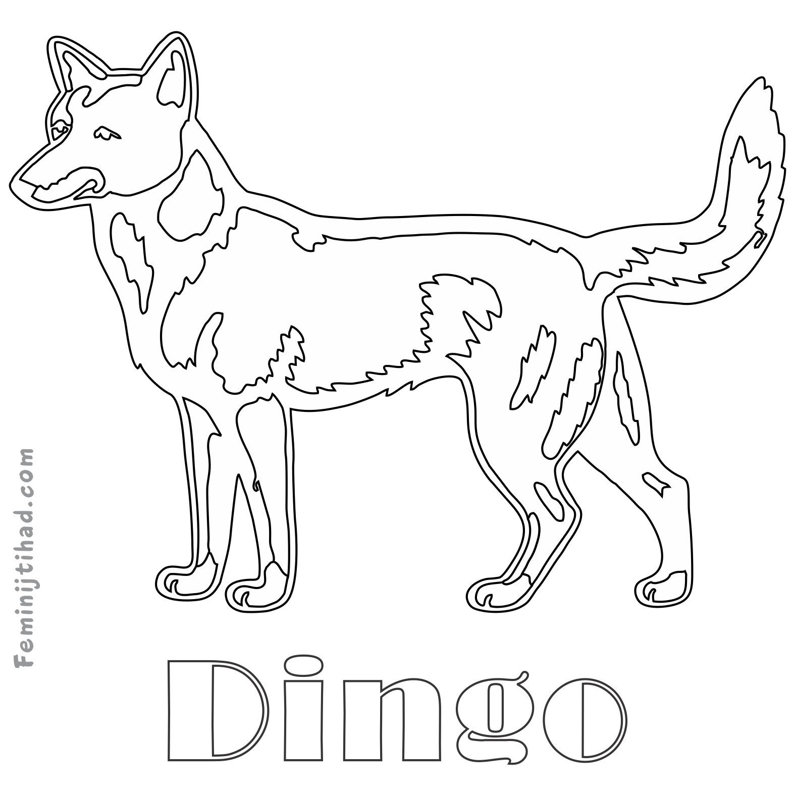 Easy dingo coloring pages pdf