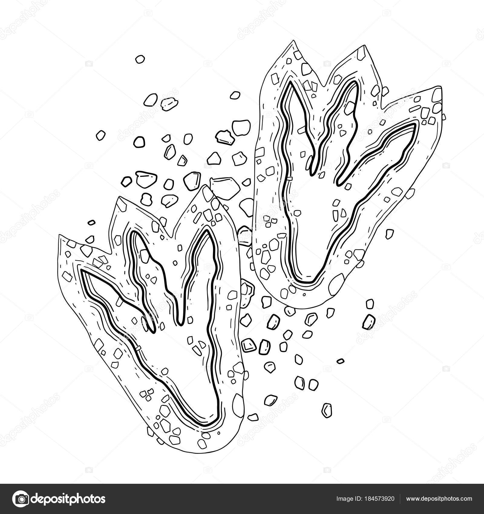 Graphic dinosaur footprints stock vector by homunkulus