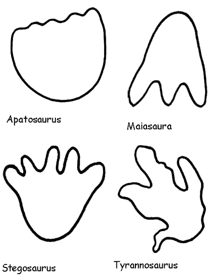 Analyzing footprints