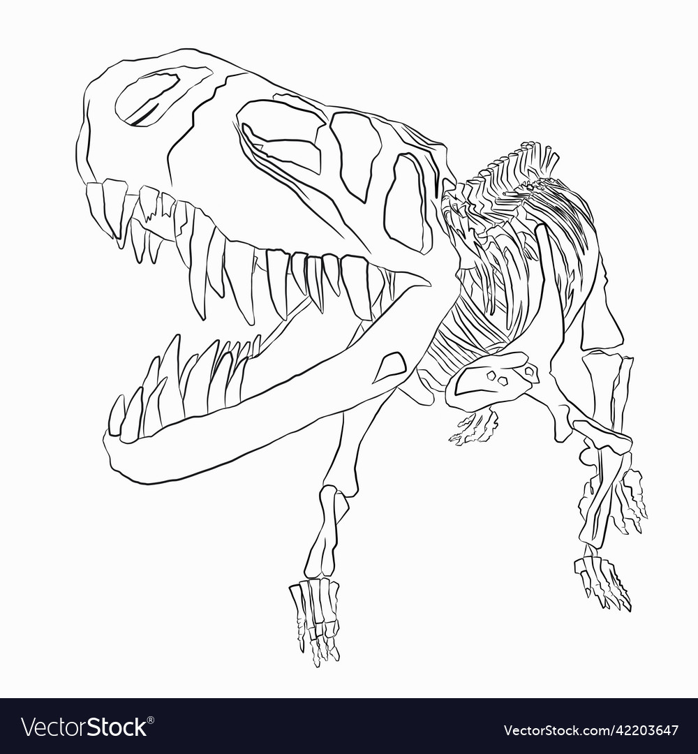 Dinosaur skeleton coloring book royalty free vector image