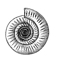 Fossil coloring pages