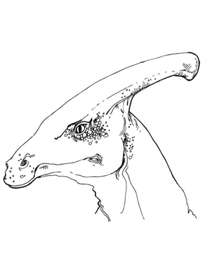 Parasaurolophus dinosaur head coloring page dinosaur coloring pages dinosaur coloring dinosaur head