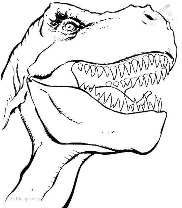 Dinosaurs t rex coloring pages dinosaur coloring pages dinosaur coloring puppy coloring pages