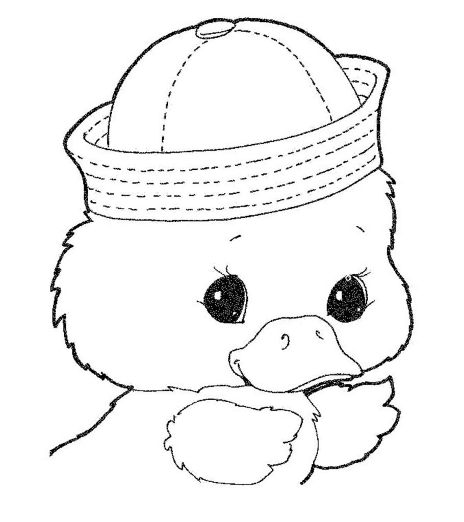 Top free printable duck coloring pages online